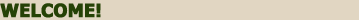 Welcome!